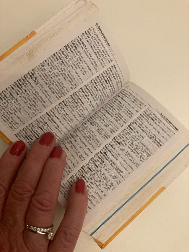 Dizionario di tedesco