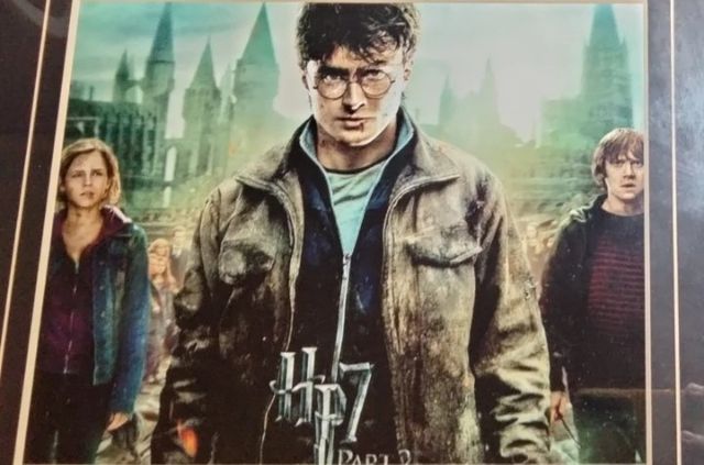 Cuadro Harry Potter 7