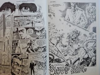 Cómic Swamp Thing COMPLETA (Blanco y negro)