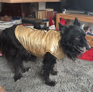 Cappotto cane