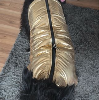 Cappotto cane