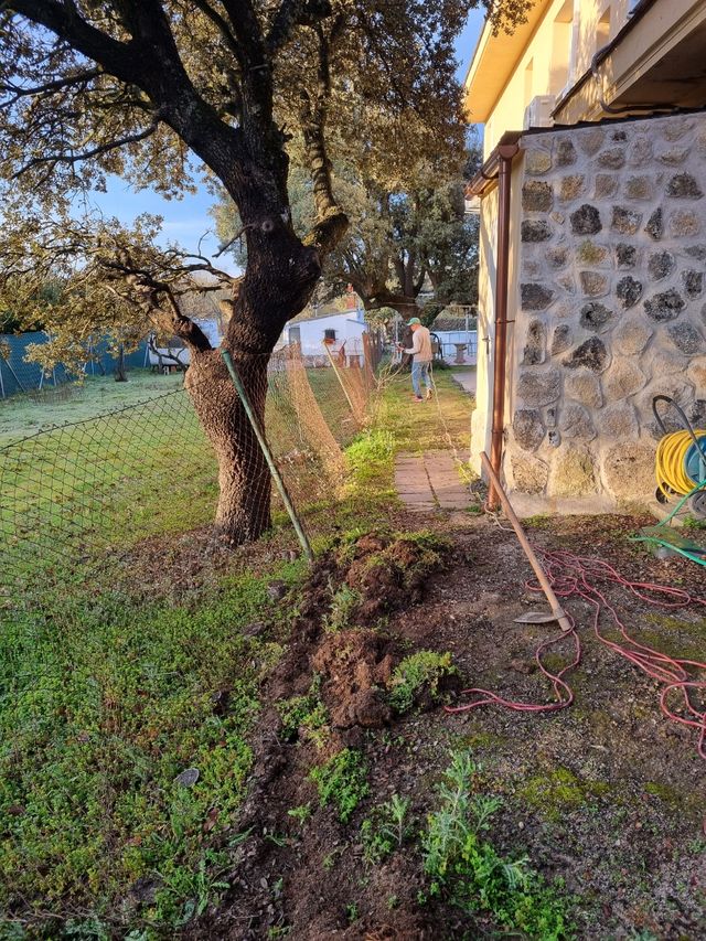 Valla simple torsión