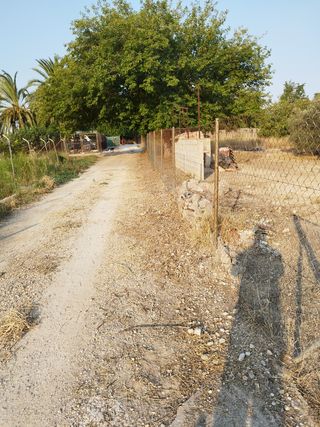 huerta campo agrario tierra