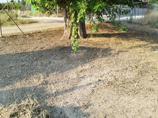 huerta campo agrario tierra