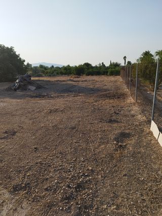 huerta campo agrario tierra