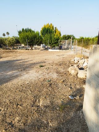 huerta campo agrario tierra