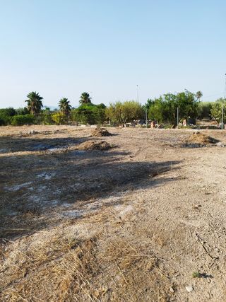 huerta campo agrario tierra