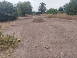 huerta campo agrario tierra