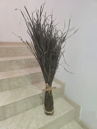 Decoración planta seca