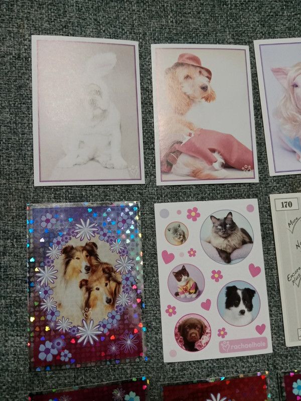 Lote de 77 cromos Animalitos divertidos