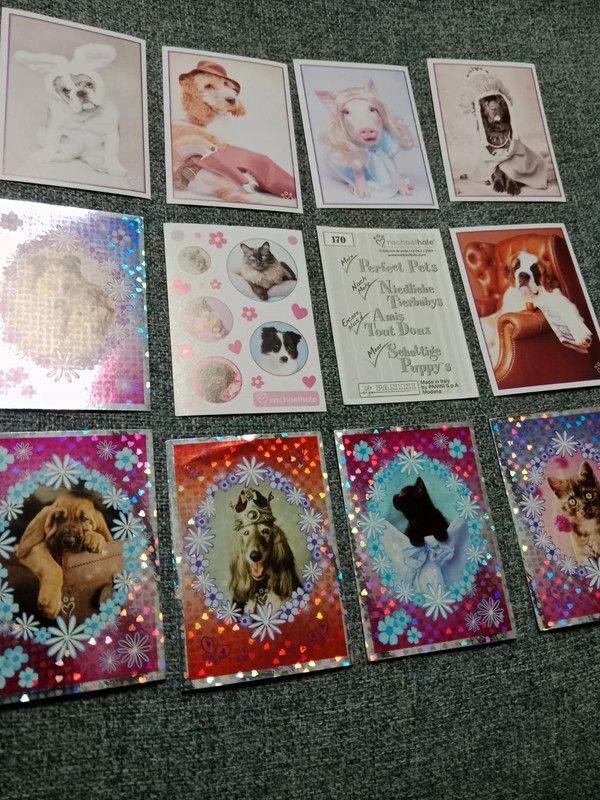 Lote de 77 cromos Animalitos divertidos