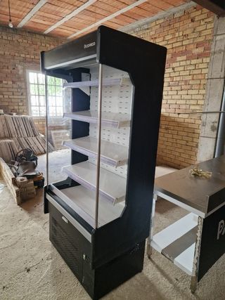 Vitrina vertical nevera lacteos