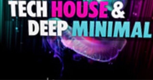 Vendo/Cambio Lote 100 vinilos TECH HOUSE & MINIMAL