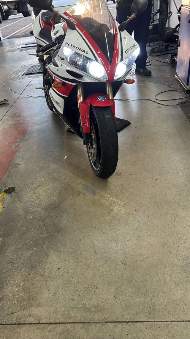 Bombillas efecto xenon H7