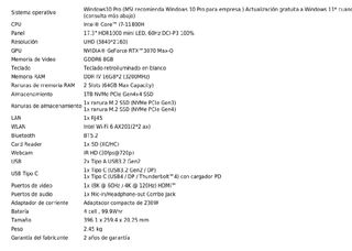 MSI Creator 17 B11UG-019ES