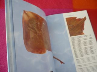 PECES CRUSTACEOS Y MOLUSCOS COMUNIDAD VALENCIANA