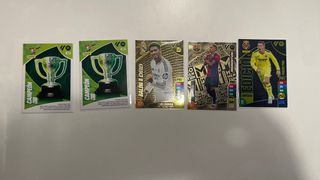 Cromos adrenalyn xl 24/25