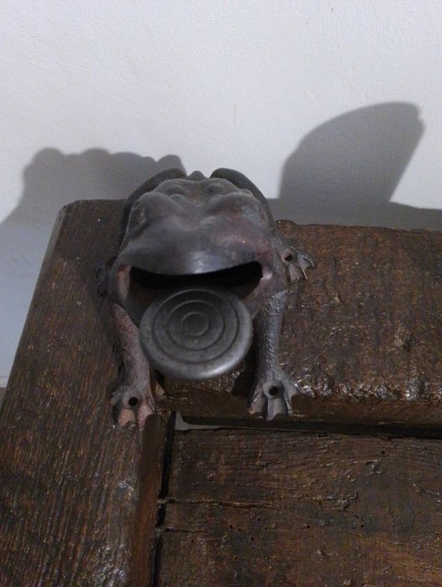 Vecchia rana e patatine