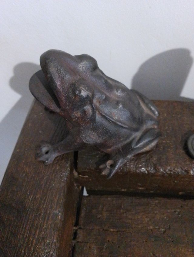 Vecchia rana e patatine