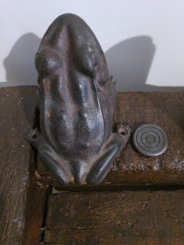 Vecchia rana e patatine