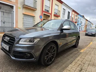 Audi SQ5 2015