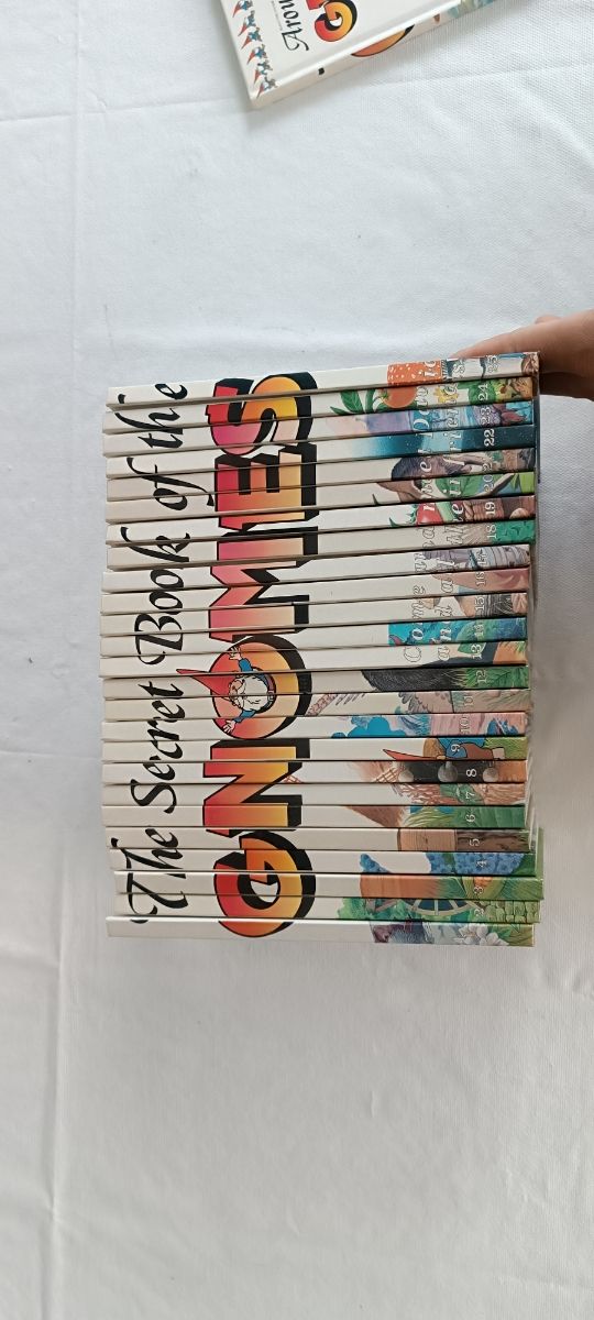 The secret book of the gnomes 24 libros