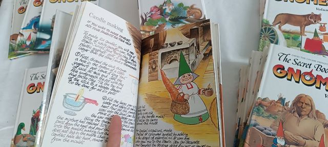 The secret book of the gnomes 24 libros