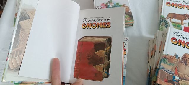 The secret book of the gnomes 24 libros