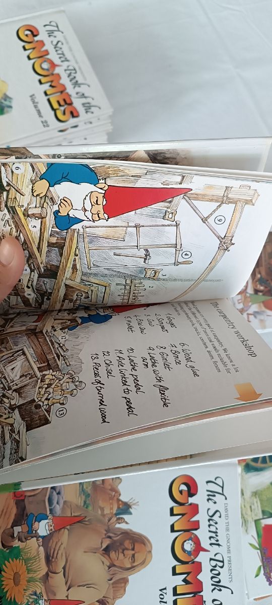 The secret book of the gnomes 24 libros
