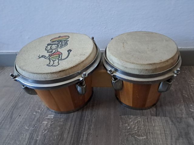 Bongo latino