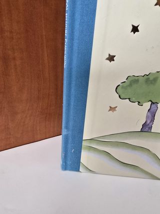 LIBRO MI PRIMER PRÍNCIPITO 