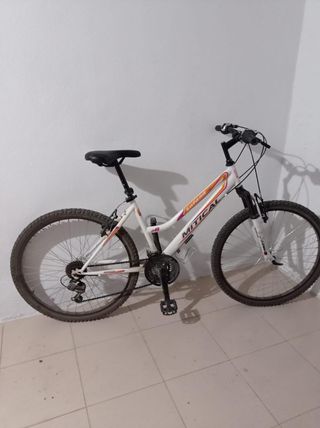 Bicicletas
