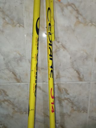 Cañas de pesca