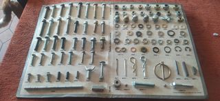 Campionario viteria metrica