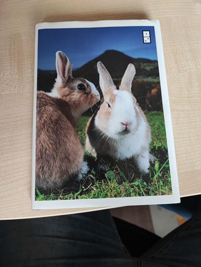 Zarrella's Hierarchy of Contagiousness: The Science, Design, and Engineering of Contagious Ideas