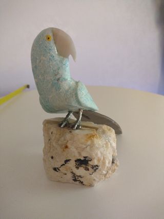 Pappagallo in pietra 
