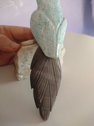 Pappagallo in pietra 