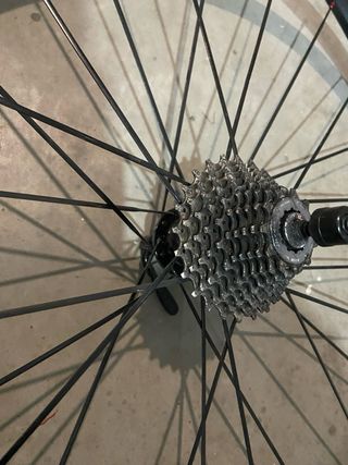 Rueda OVAL con cassette 10v