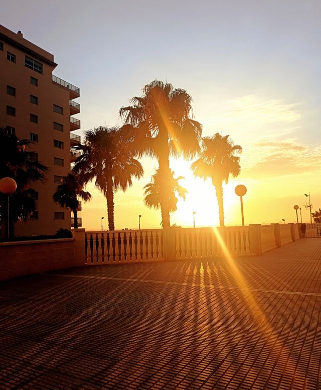 🌴Vacaciones en la MANGA