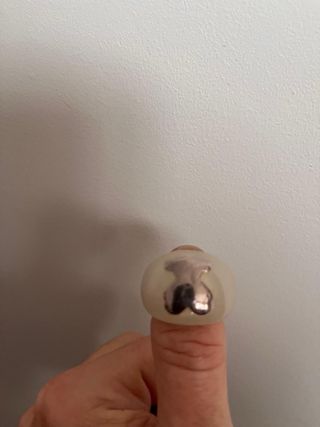 Anillos tous