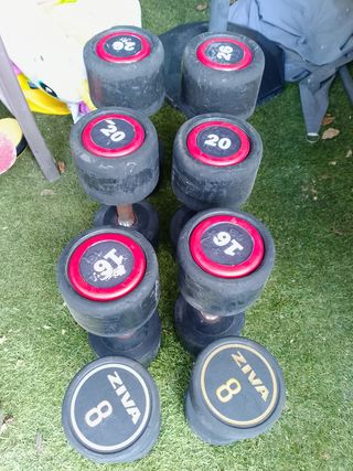 Mancuernas 20 y 26 kg.