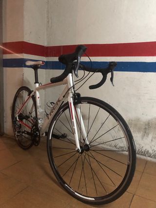 Trek carretera 