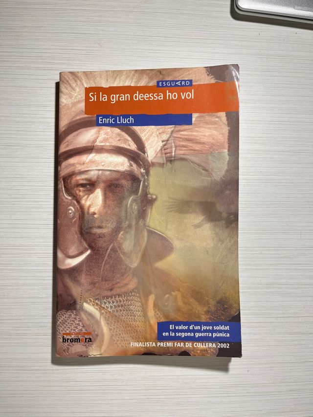 Si la gran deessa ho vol