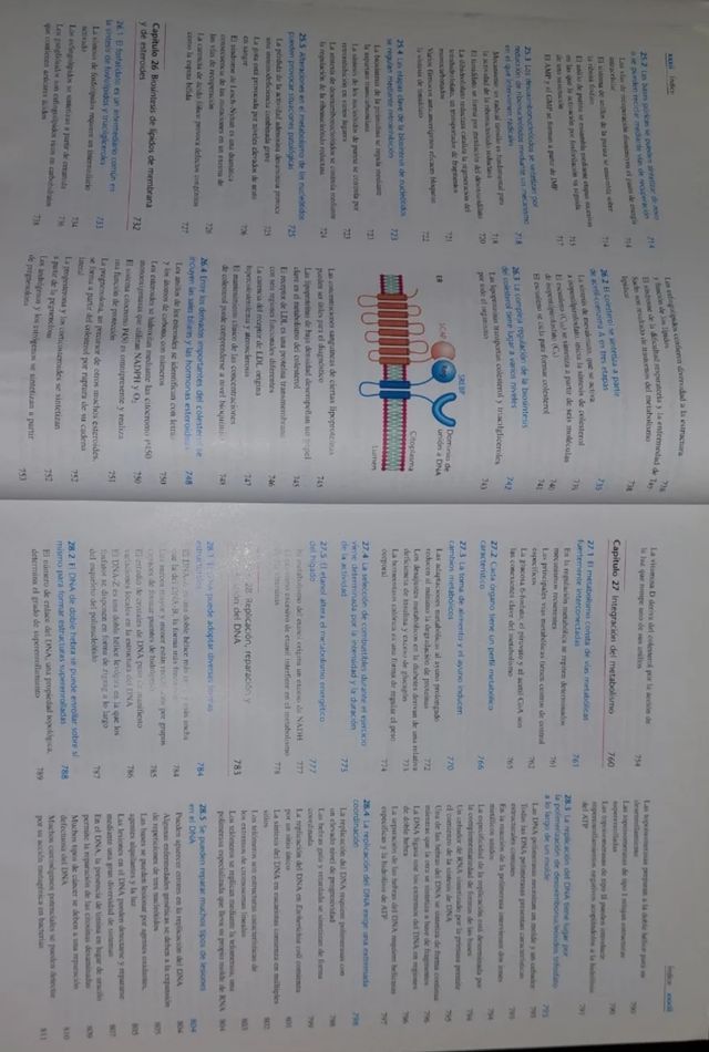 Bioquímica Stryer, Berg, Tymoczko