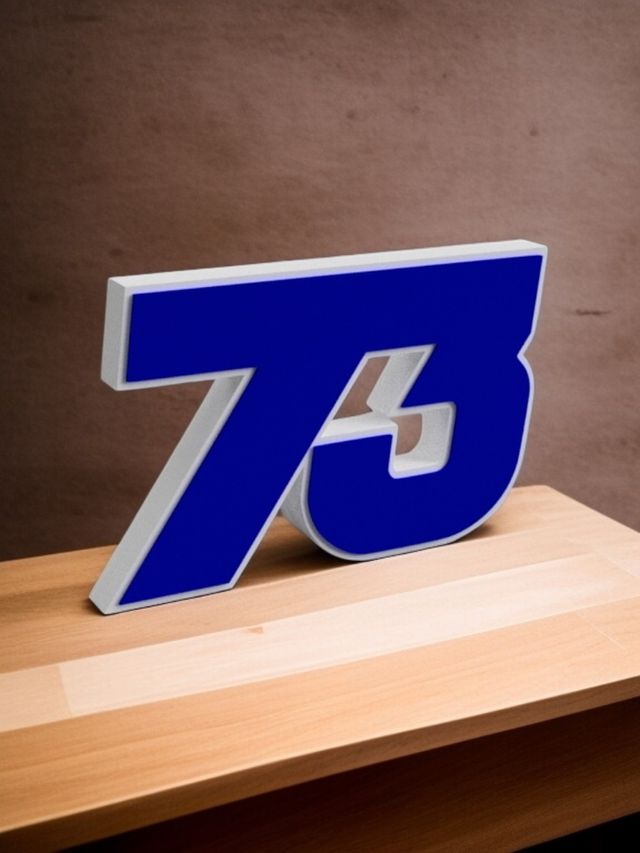Logo decorativo número 73