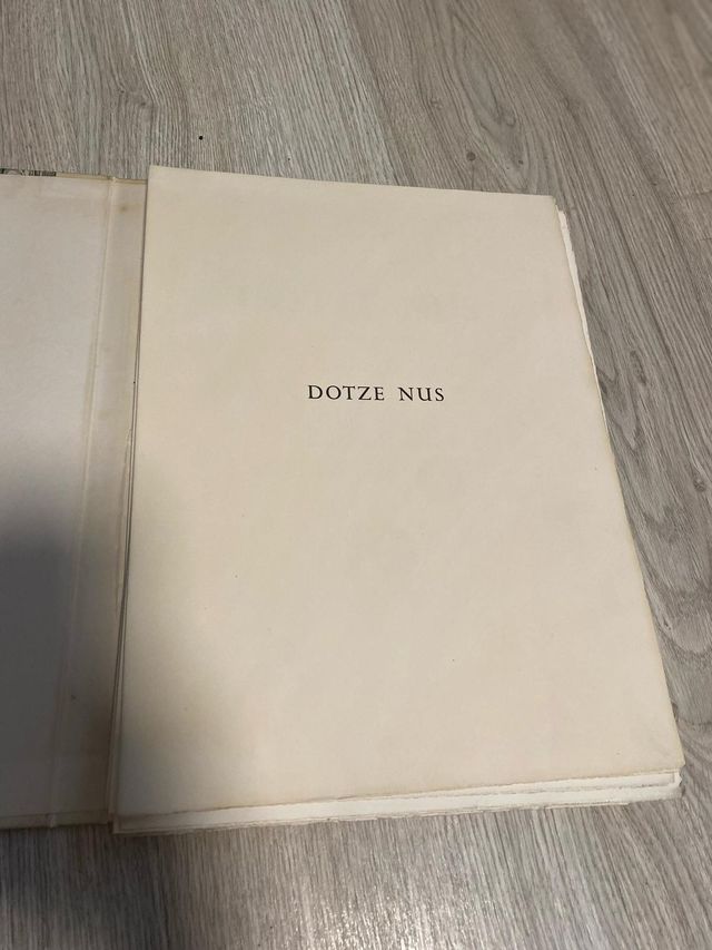 Dotze nus de la Rosa Vera