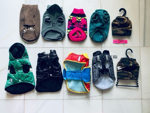 prendas ropa pequeña chihuhua Yorki Toy
