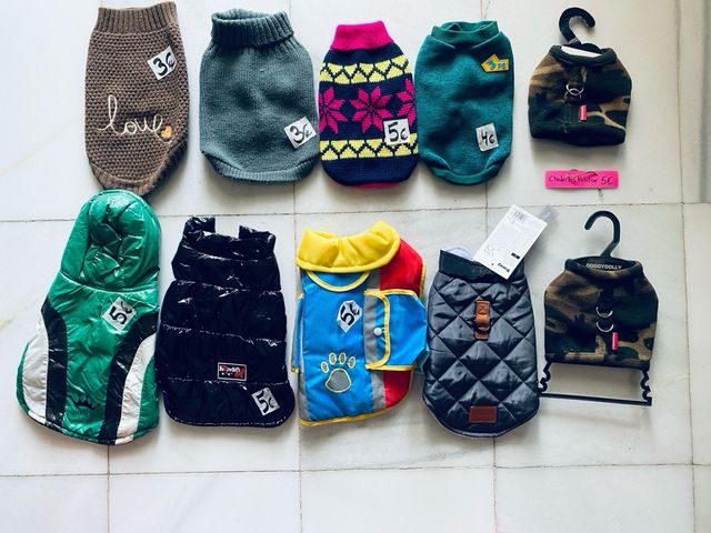 prendas ropa pequeña chihuhua Yorki Toy