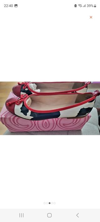Ballerine glitter pink zebrate