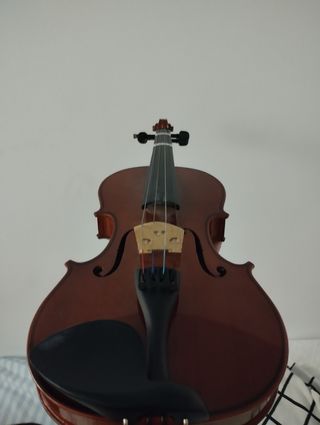 Violín